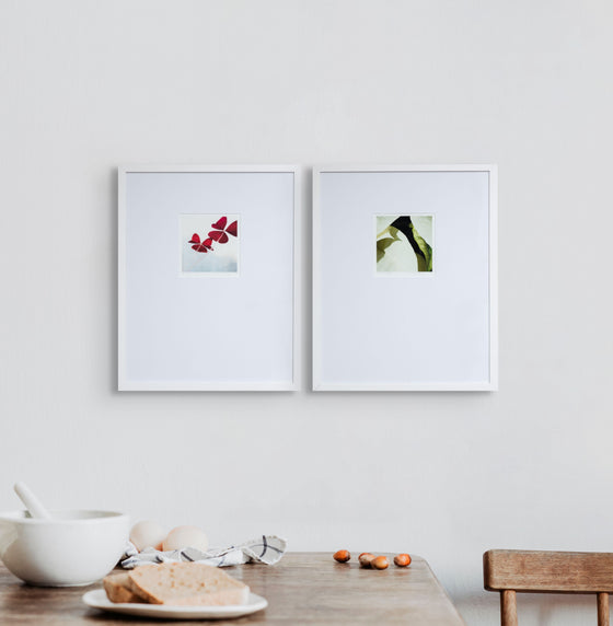 Boundless Fly | Framed Print