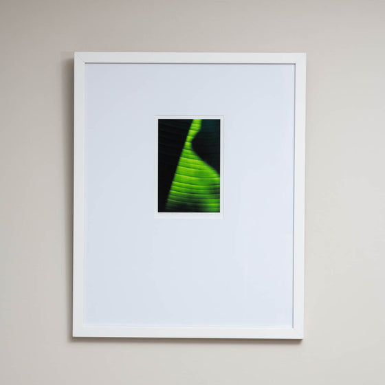 Ephemeral Reverie | Framed Print