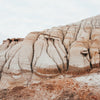 Art and Photography by Diana - Artwork - Huddling Together Drumheller, located in Southern Alberta