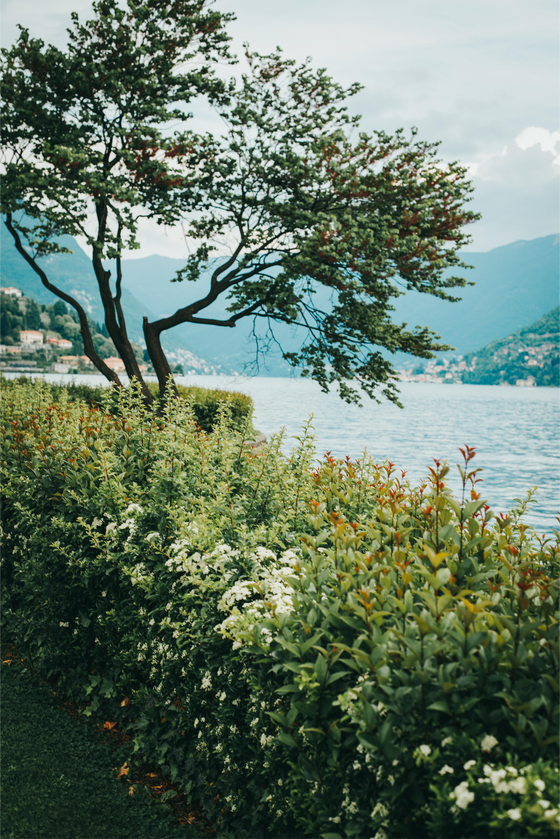 Art and Photography by Diana - Artwork - Evening by Lake Como located in northern Italy