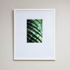 Palm Shadow | Framed Mixed Media Artwork