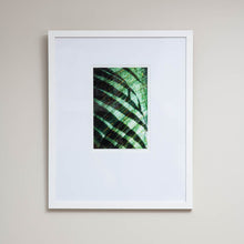  Palm Shadow | Framed Mixed Media Artwork