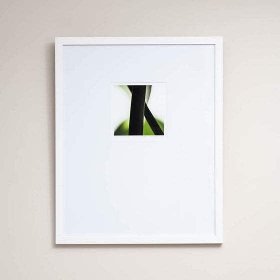 Quivering Essence | Framed Print