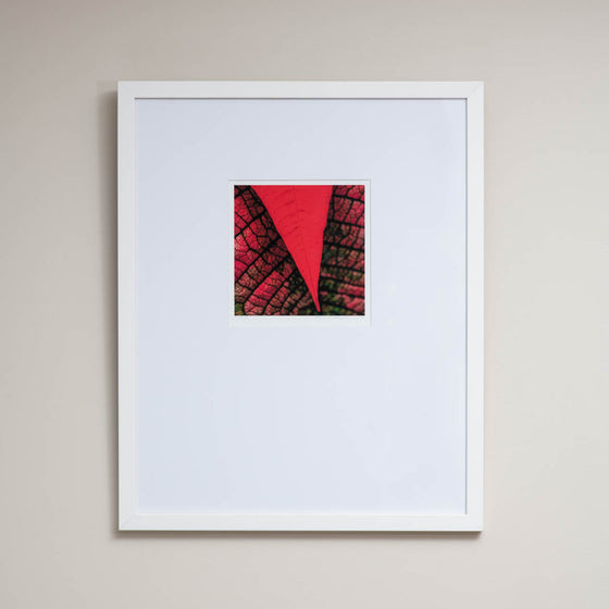 Womb | Framed Print