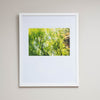 Zen Garden | Framed Print