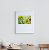 Zen Garden | Framed Print